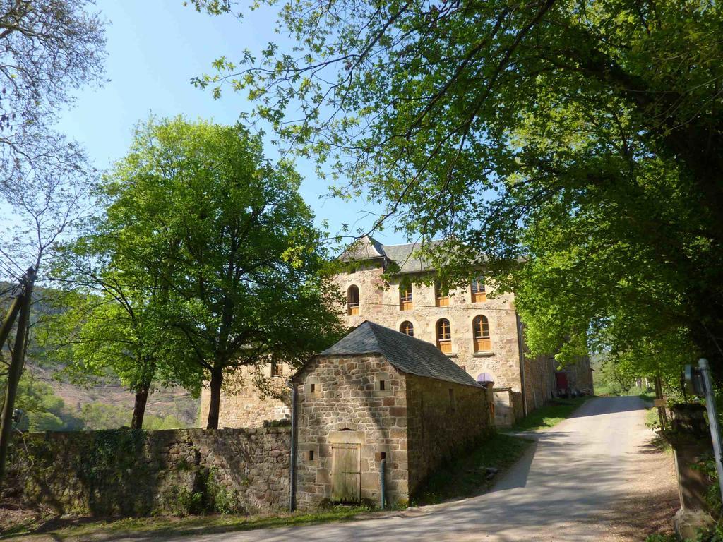 Chateau De Salelles Banassac Εξωτερικό φωτογραφία