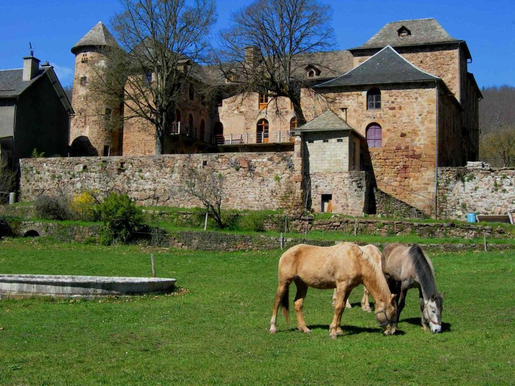 Chateau De Salelles Banassac Εξωτερικό φωτογραφία
